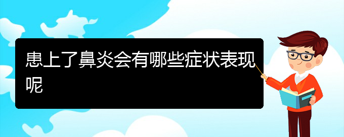 (貴陽治療過敏性鼻炎要多少費用)患上了鼻炎會有哪些癥狀表現(xiàn)呢(圖1)