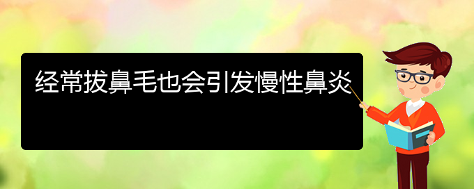 (貴陽治療慢性鼻炎哪個醫(yī)院)經常拔鼻毛也會引發(fā)慢性鼻炎(圖1)