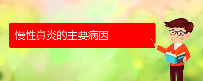 (貴陽治慢性鼻炎醫(yī)院哪家好)慢性鼻炎的主要病因(圖1)