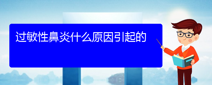 (貴州治療過(guò)敏性鼻炎那個(gè)醫(yī)院好)過(guò)敏性鼻炎什么原因引起的(圖1)