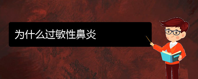 (貴州治過敏性鼻炎?？漆t(yī)院)為什么過敏性鼻炎(圖1)