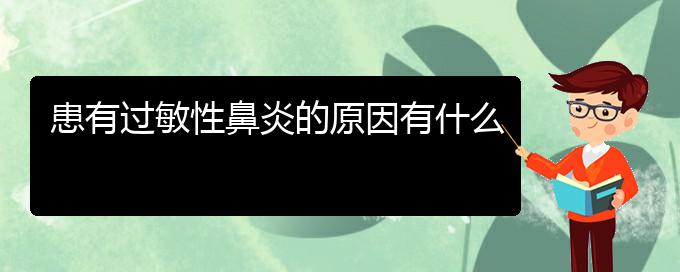 (貴州那個(gè)醫(yī)院治過敏性鼻炎比較好)患有過敏性鼻炎的原因有什么(圖1)