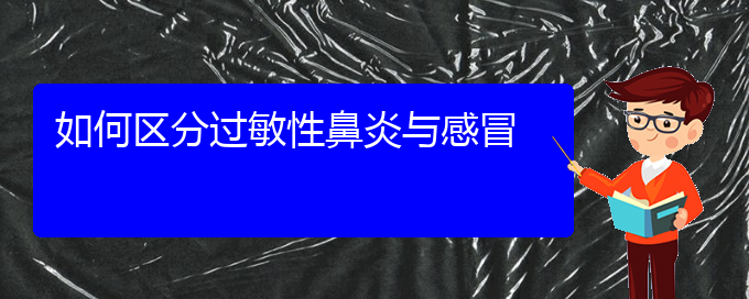 (貴陽治療過敏性鼻炎的辦法)如何區(qū)分過敏性鼻炎與感冒(圖1)