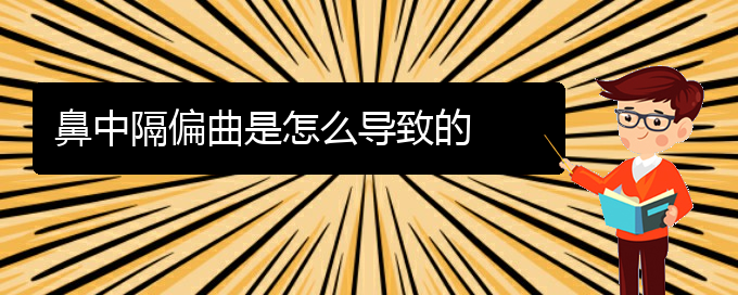 (貴陽去醫(yī)院看鼻中隔偏曲價格)鼻中隔偏曲是怎么導致的(圖1)