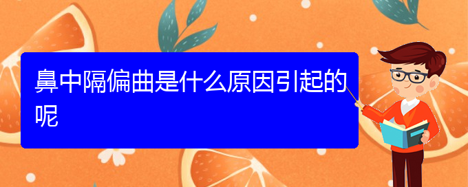 (貴陽(yáng)專治鼻中隔偏曲醫(yī)院)鼻中隔偏曲是什么原因引起的呢(圖1)