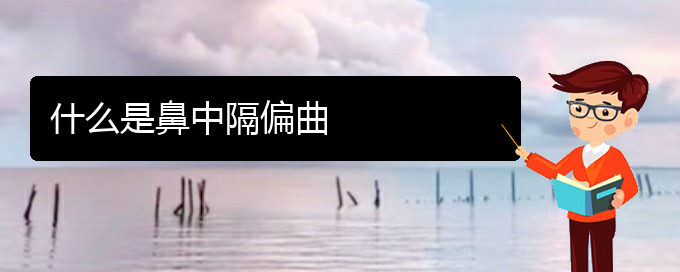 (貴陽鼻中隔偏曲治療哪個醫(yī)院好)什么是鼻中隔偏曲(圖1)