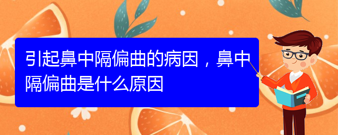 (貴陽比較好的治療鼻中隔偏曲的醫(yī)院)引起鼻中隔偏曲的病因，鼻中隔偏曲是什么原因(圖1)