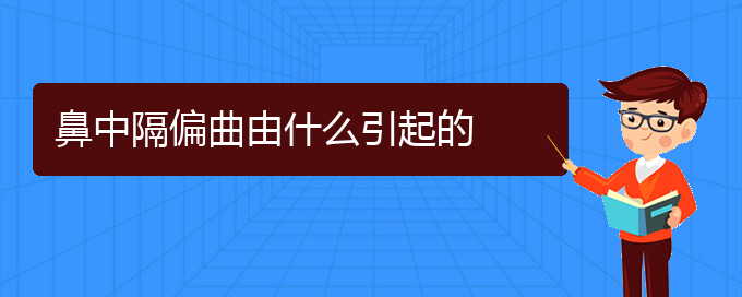 (貴陽(yáng)銘仁看鼻中隔偏曲怎么樣)鼻中隔偏曲由什么引起的(圖1)