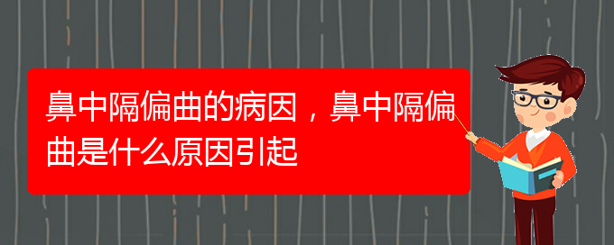 (貴陽(yáng)治療鼻中隔偏曲醫(yī)院)鼻中隔偏曲的病因，鼻中隔偏曲是什么原因引起(圖1)