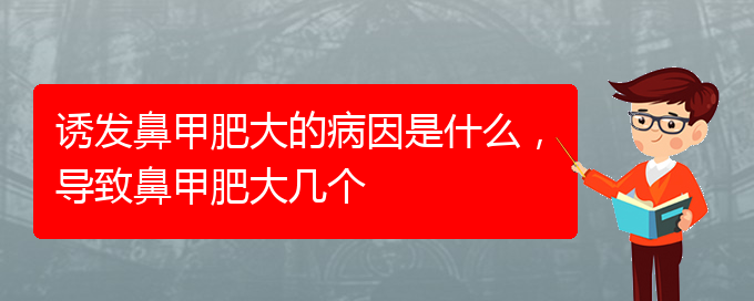 (貴陽鼻科醫(yī)院掛號(hào))誘發(fā)鼻甲肥大的病因是什么，導(dǎo)致鼻甲肥大幾個(gè)(圖1)