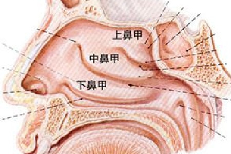 　治療鼻息肉的常用方法有哪些?貴陽耳鼻喉醫(yī)院前十名