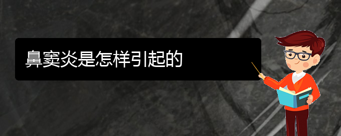 (貴陽附近那個醫(yī)院看鼻竇炎好)鼻竇炎是怎樣引起的(圖1)