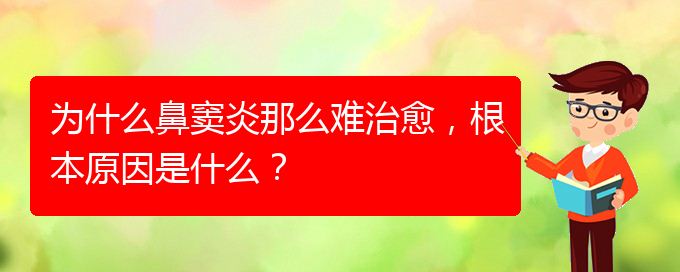 (貴陽治療鼻竇炎要多少費用)為什么鼻竇炎那么難治愈，根本原因是什么？(圖1)