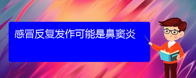 (貴陽治療鼻竇炎能夠徹底的地方)感冒反復(fù)發(fā)作可能是鼻竇炎(圖1)