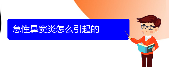 (貴陽(yáng)看鼻竇炎大概需要多少錢(qián))急性鼻竇炎怎么引起的(圖1)