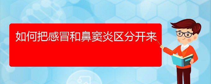 (治療鼻竇炎貴陽(yáng)那家醫(yī)院好)如何把感冒和鼻竇炎區(qū)分開(kāi)來(lái)(圖1)