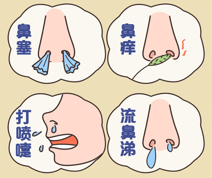 十人里九個(gè)有鼻炎？到底如何才能擺脫鼻炎困擾？(圖3)